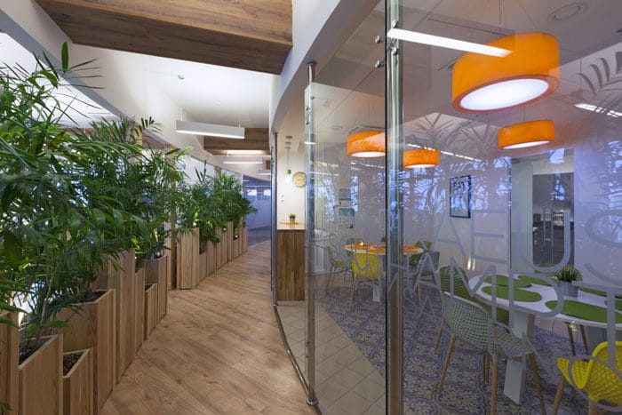 עיצוב משרד עם שילוב צמחיה ועץ